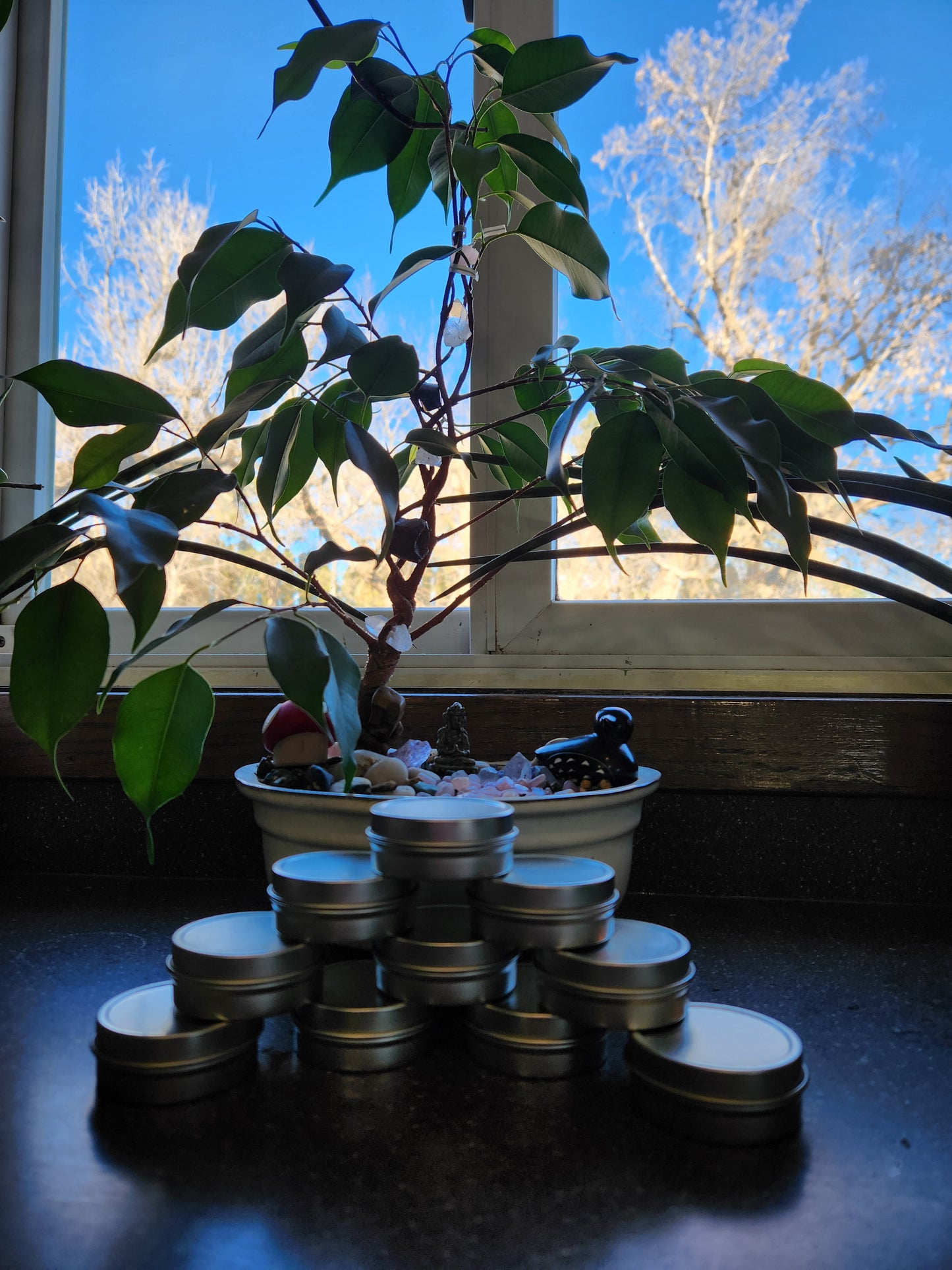 Solomon's Seal Comfrey Salve 1 ounce tin