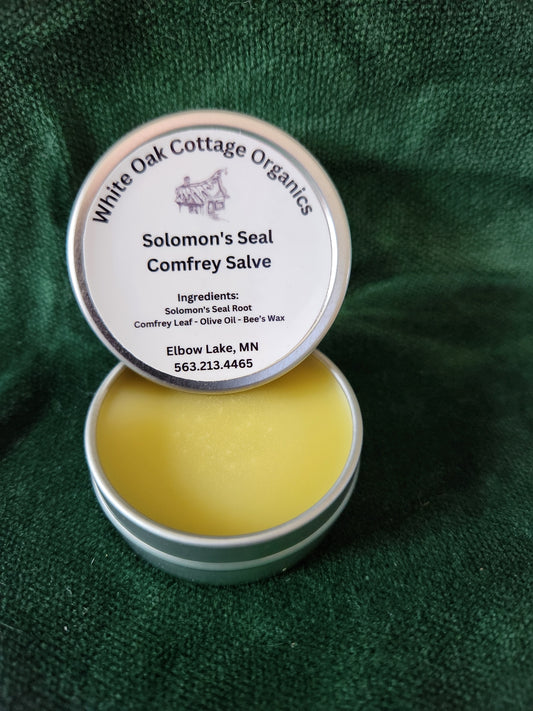 Solomon's Seal Comfrey Salve 1 ounce tin